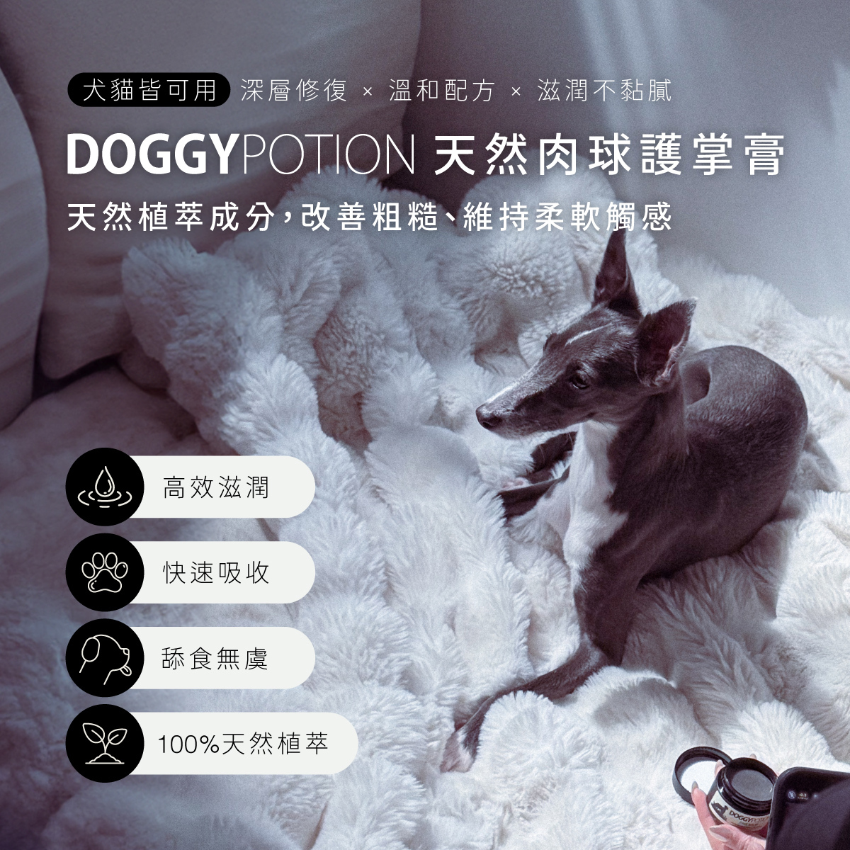 天然肉球護掌膏｜DOGGYPOTION