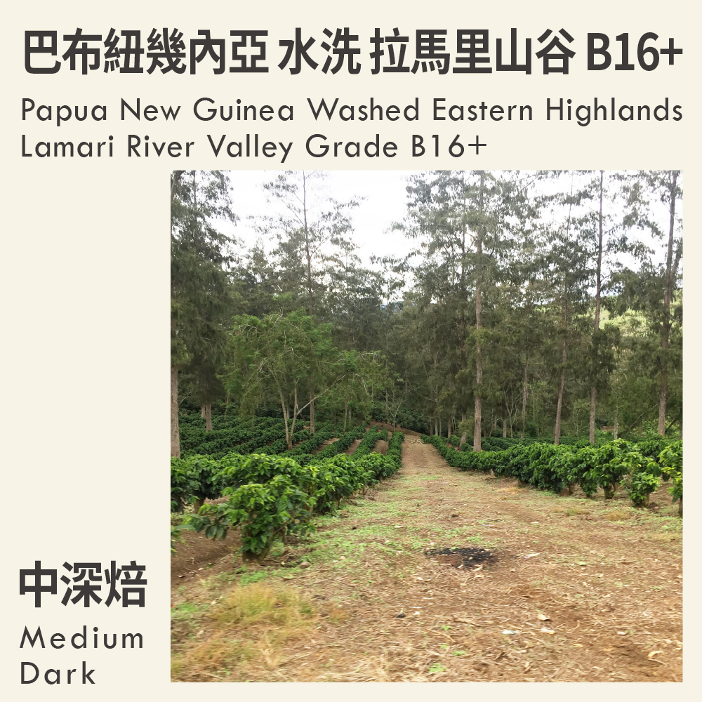 巴布紐幾內亞 水洗 東高地省 拉馬里山谷 B16+