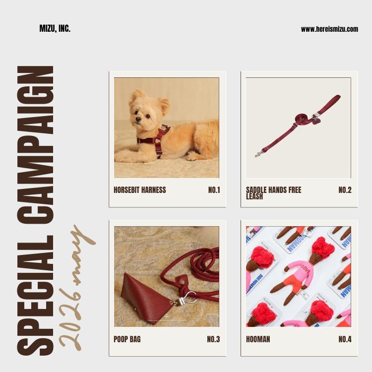 5月限定 horsebit harness set