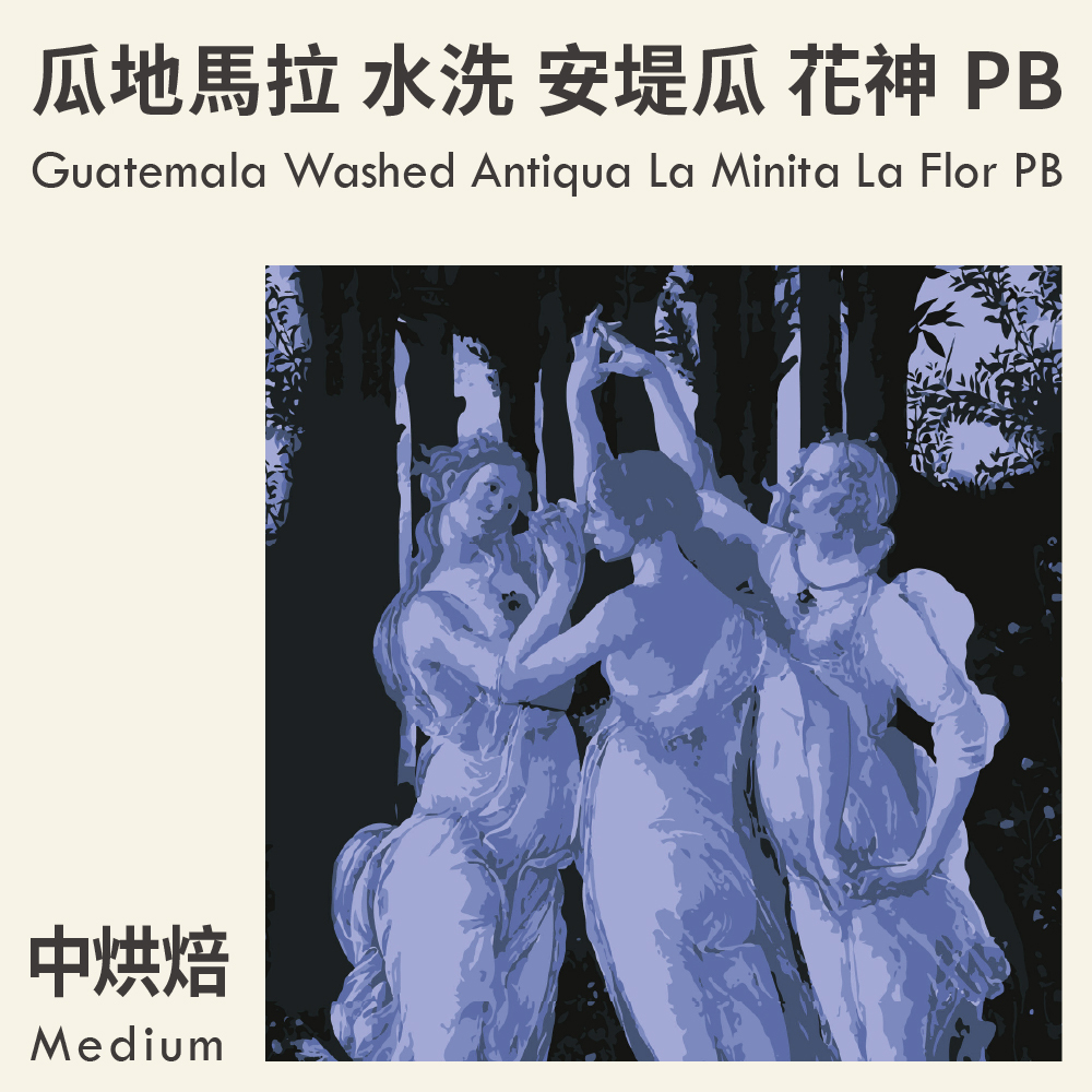瓜地馬拉 水洗 安堤瓜 拉米尼塔 花神 PB