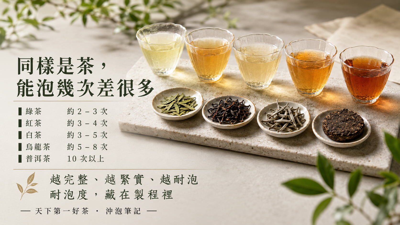 各茶種建議沖泡次數對照圖，綠茶2至3次、紅茶3至4次、白茶3至5次、烏龍5至8次、普洱10次以上