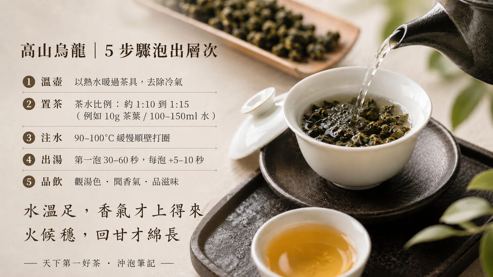 高山烏龍茶標準沖泡五步驟流程圖,溫壺、置茶、注水、出湯、品飲,含水溫、茶水比、時間建議