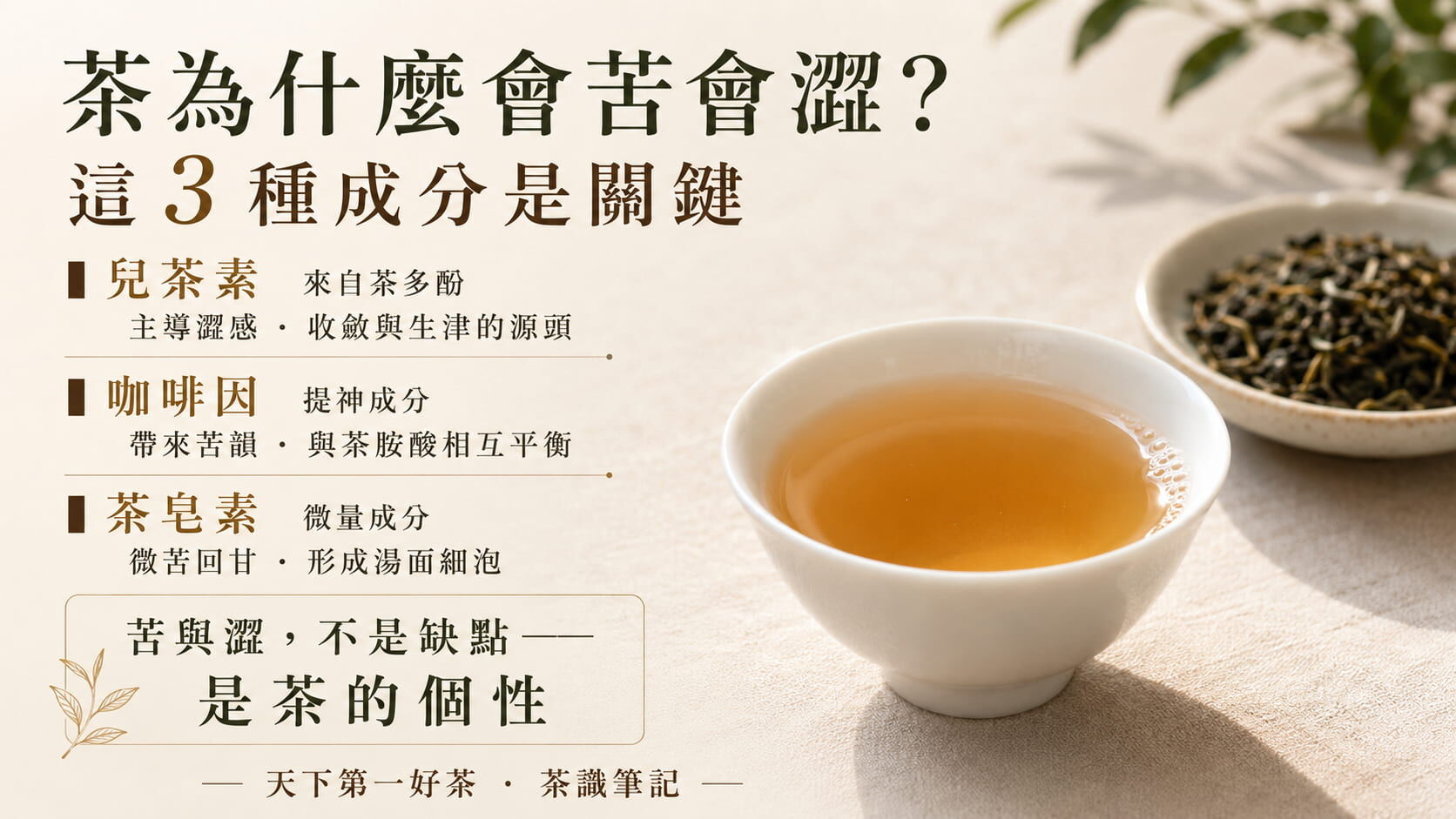 造成茶湯苦澀的三大成分圖，兒茶素主導澀感、咖啡因帶來苦韻、茶皂素帶來微苦回甘