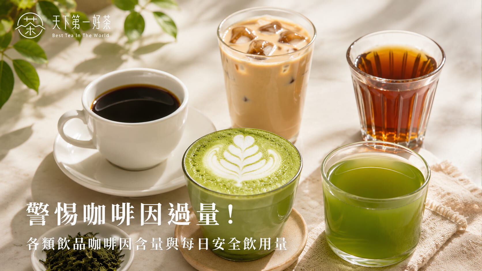 警惕咖啡因過量！各類飲品咖啡因含量與每日安全飲用量