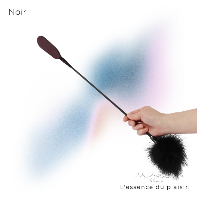 Noir 巴黎午夜 兩用羽毛馬鞭 sm羽毛 搔癢羽毛 sm馬鞭 sm鞭子