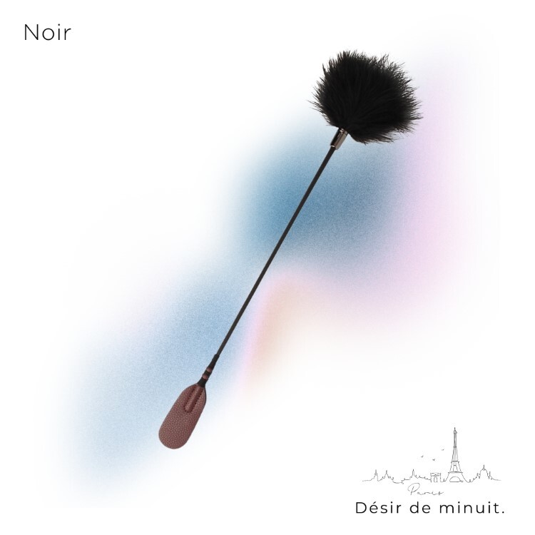 Noir 巴黎午夜 兩用羽毛馬鞭 sm羽毛 搔癢羽毛 sm馬鞭 sm鞭子
