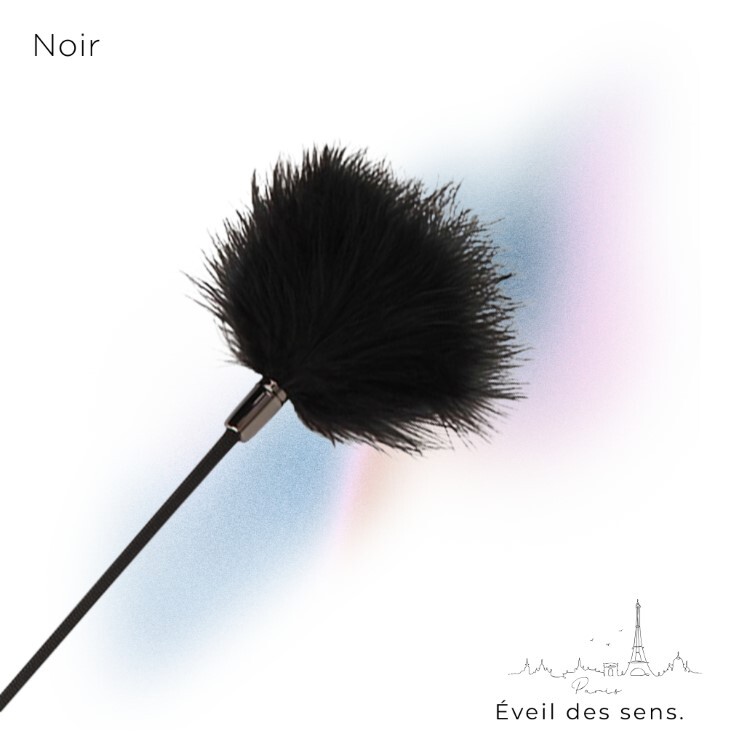 Noir 巴黎午夜 兩用羽毛馬鞭 sm羽毛 搔癢羽毛 sm馬鞭 sm鞭子