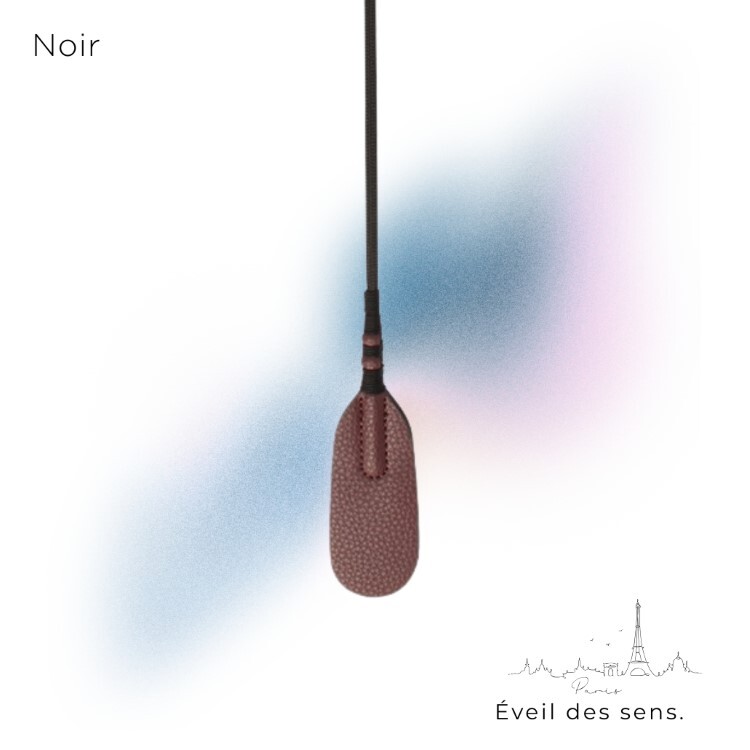 Noir 巴黎午夜 兩用羽毛馬鞭 sm羽毛 搔癢羽毛 sm馬鞭 sm鞭子