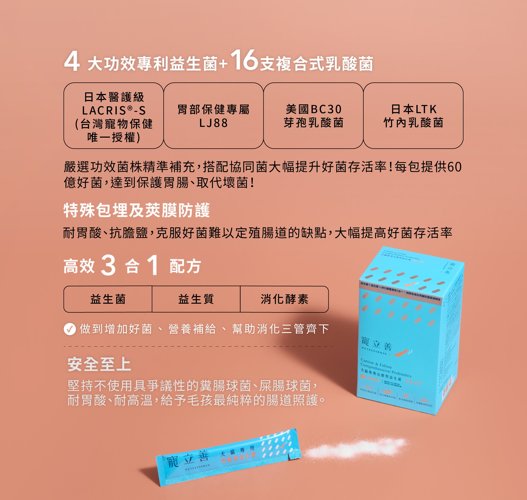 貓咪益生菌推薦｜腸胃敏感與日常消化道保健