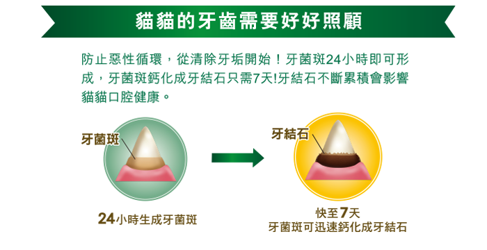 Greenies 貓貓潔齒餅