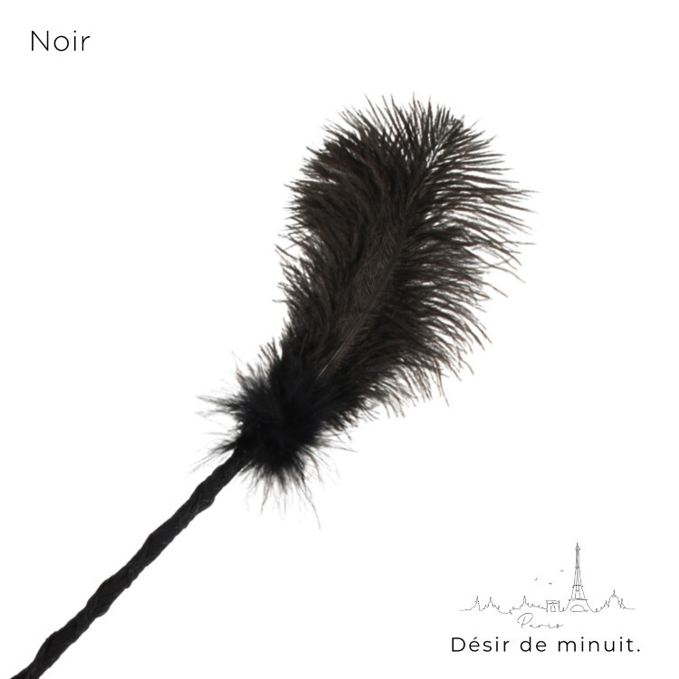 Noir 巴黎午夜 絲帶羽毛棒 sm羽毛棒 情趣搔癢棒