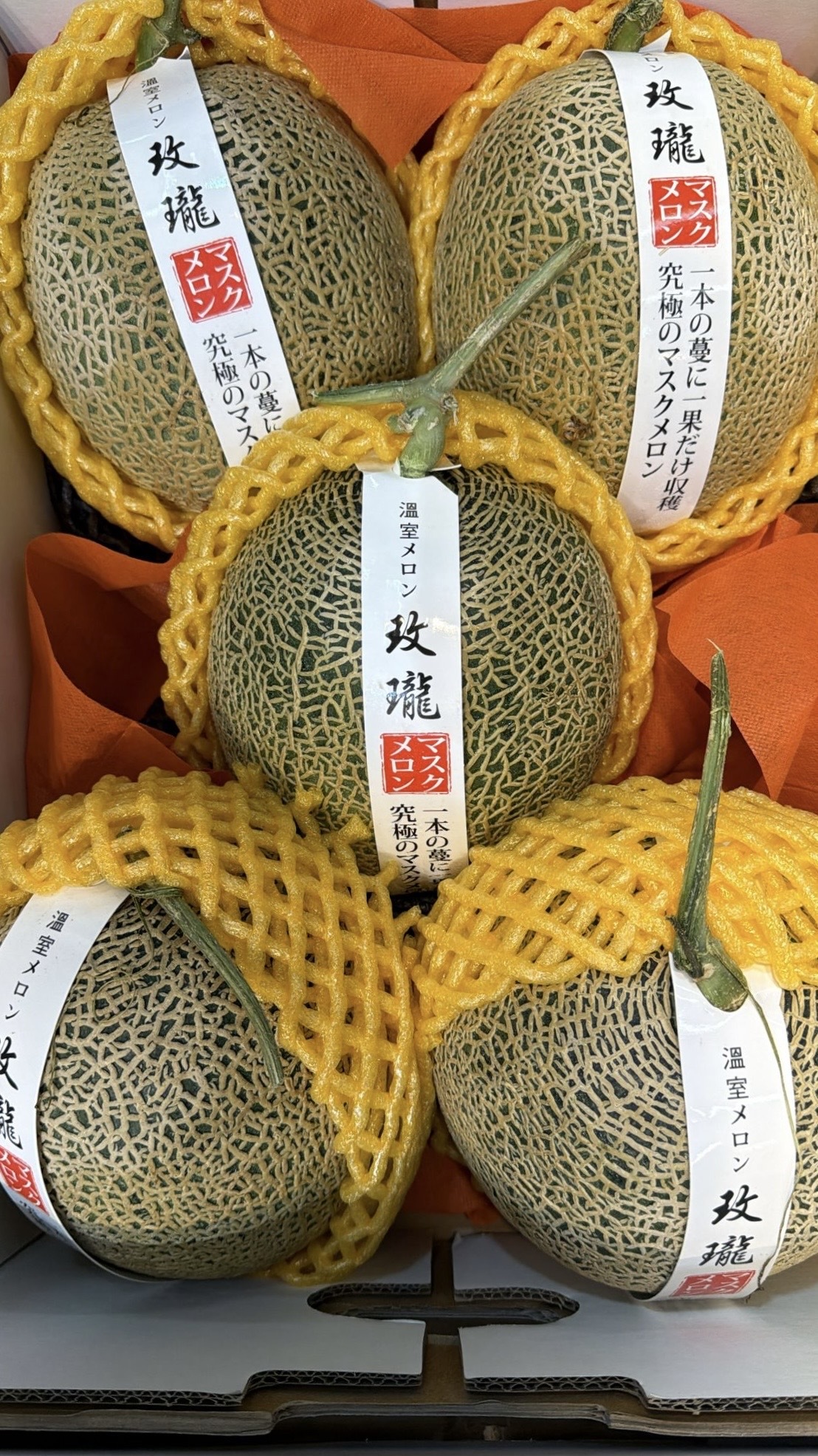 特大玖瓏瓜 原箱10個