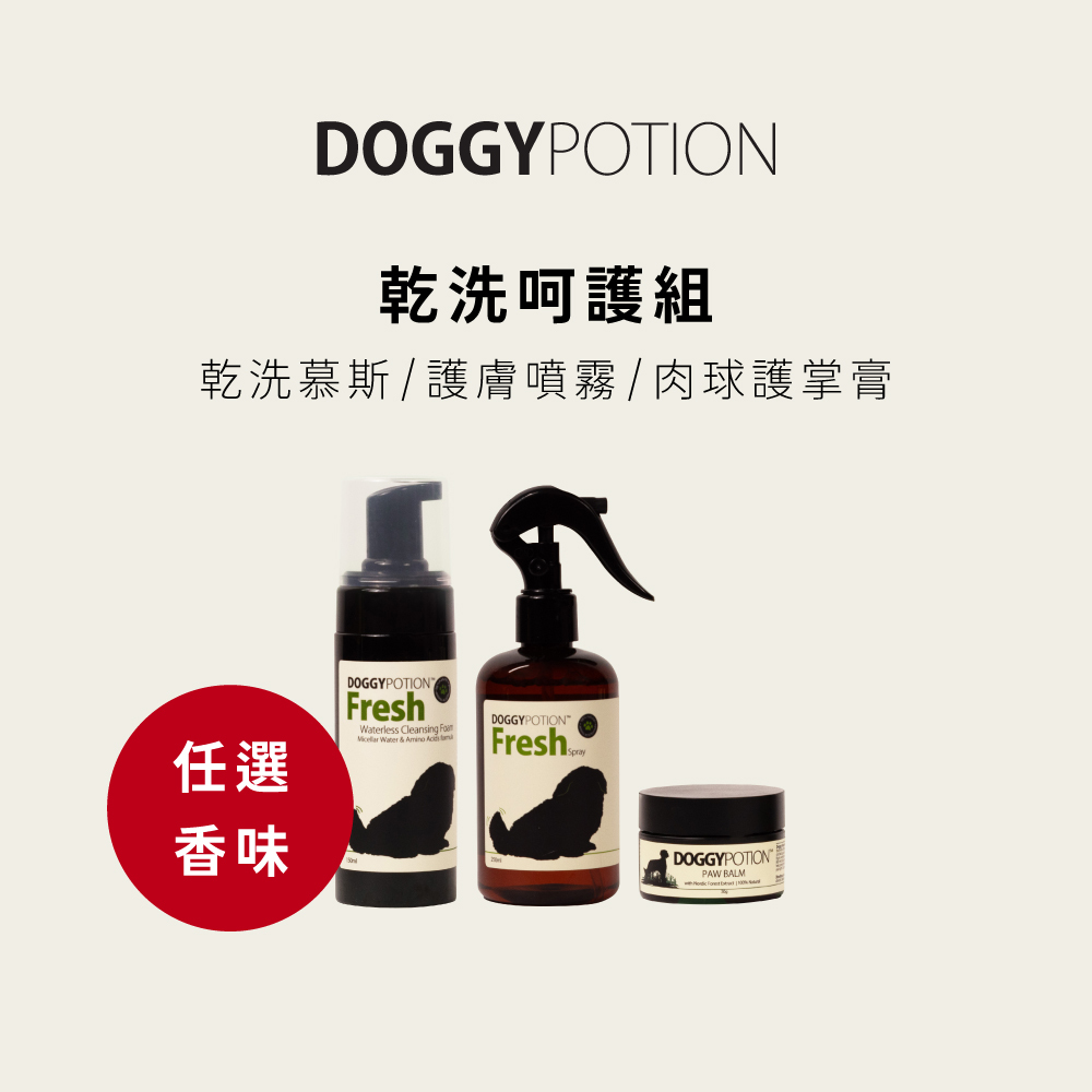 [免運] 乾洗呵護組 - 乾洗慕斯+護膚噴霧+肉球護掌膏｜DOGGYPOTION