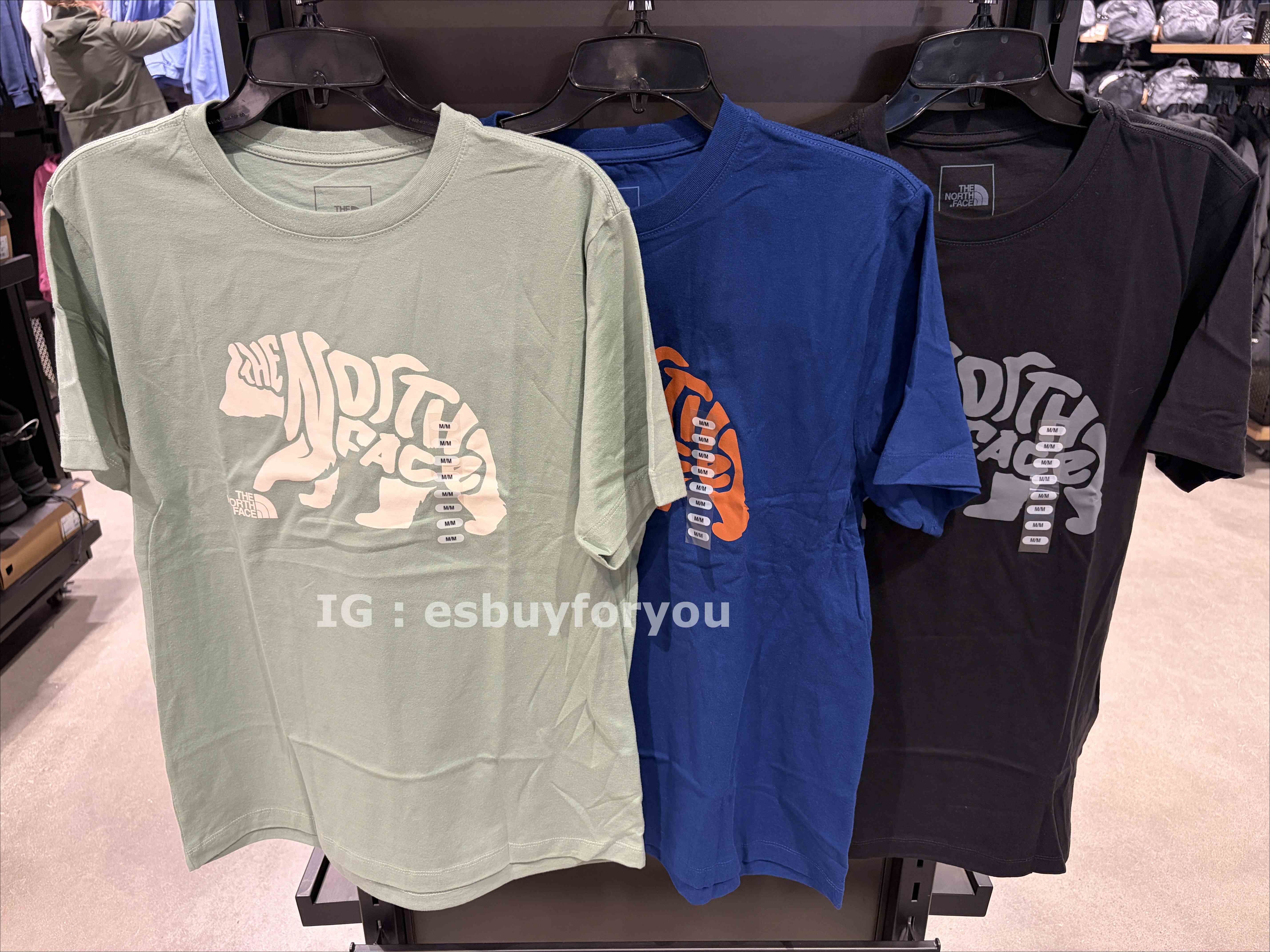 THE NORTH FACE 男大人 熊圖案 短TEE (4色)