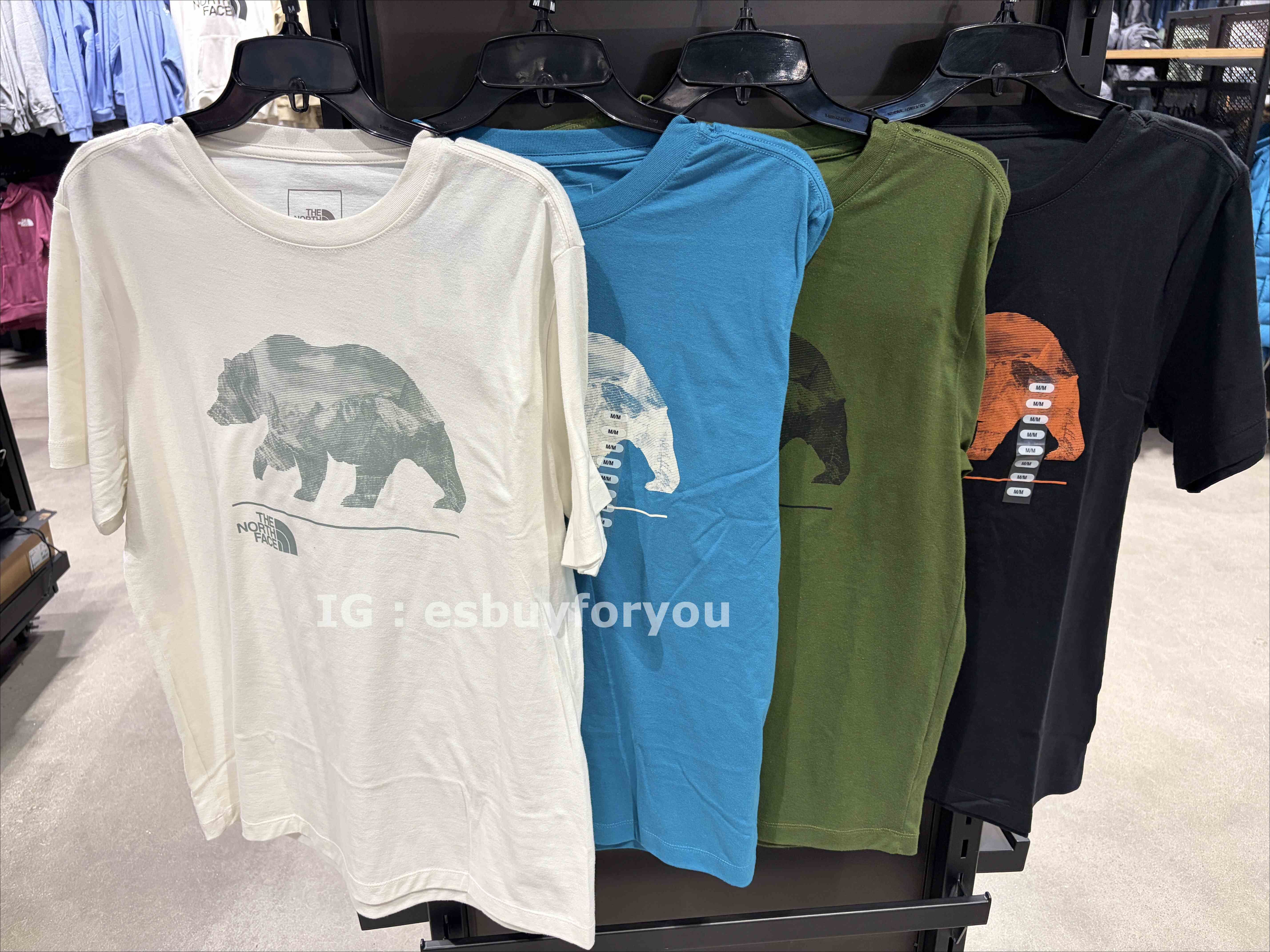 THE NORTH FACE 男大人 熊圖案 短TEE (4色)