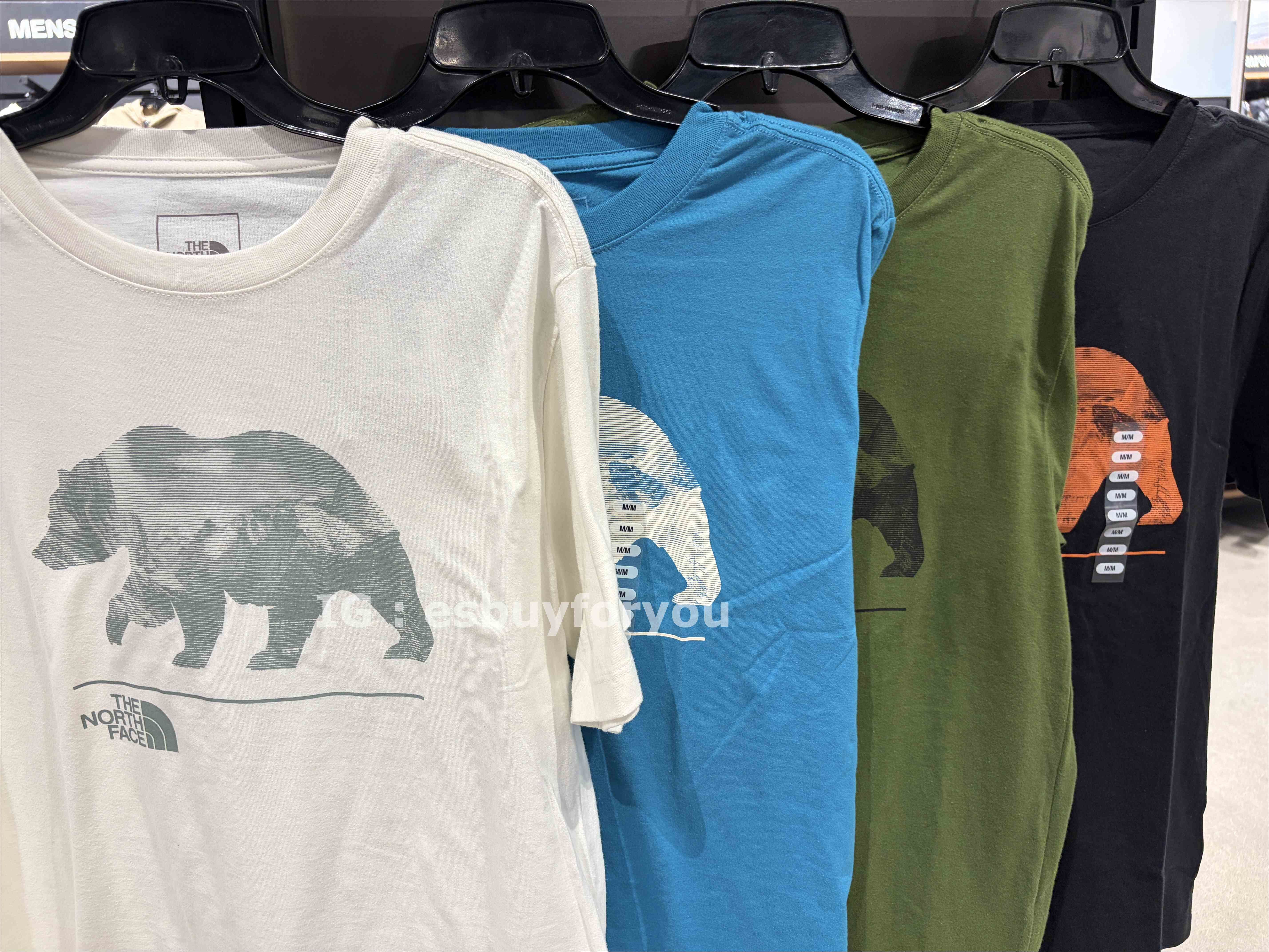 THE NORTH FACE 男大人 熊圖案 短TEE (4色)