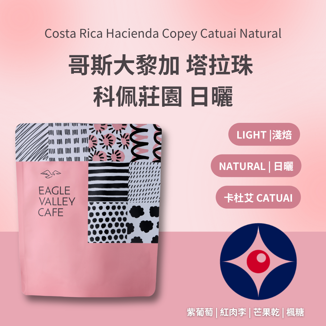 哥斯大黎加 塔拉珠 科佩莊園 Catuai 日曬 淺焙 咖啡豆