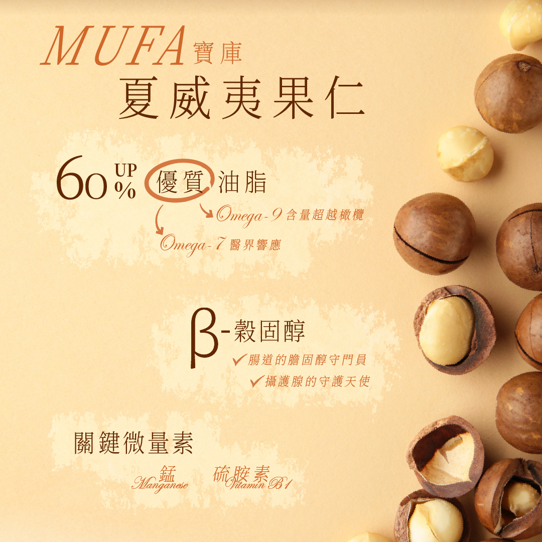 夏威夷果仁