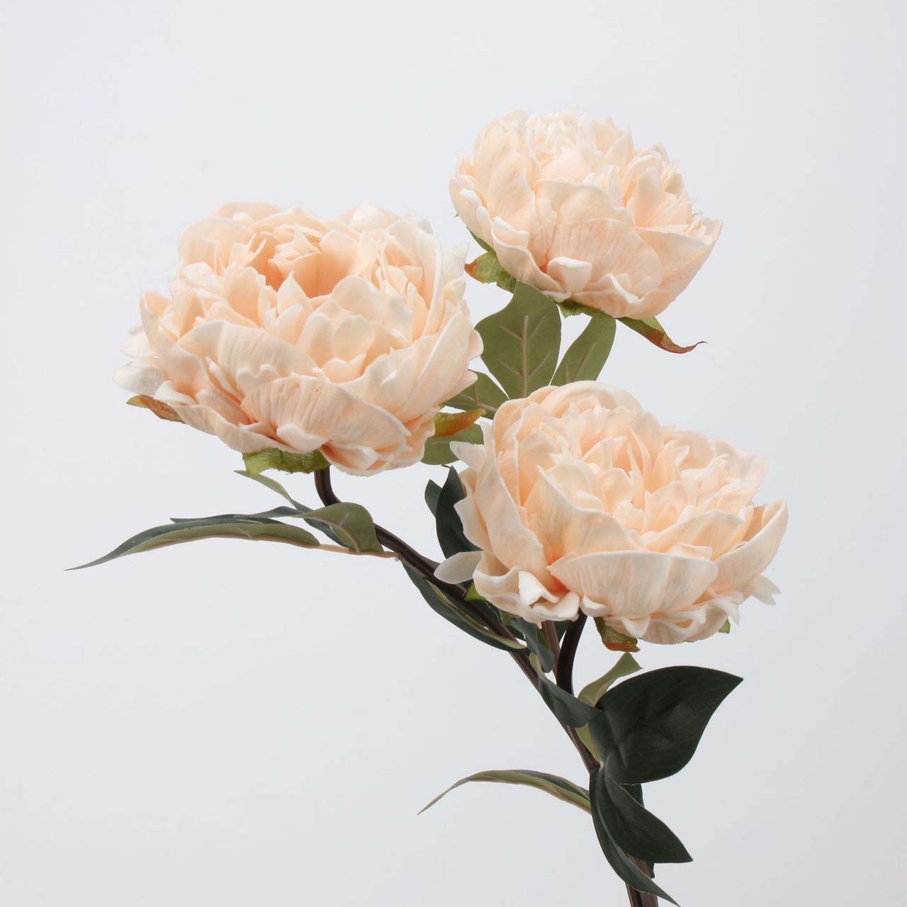 仿真EVA保濕香妃小牡丹 (芍藥)