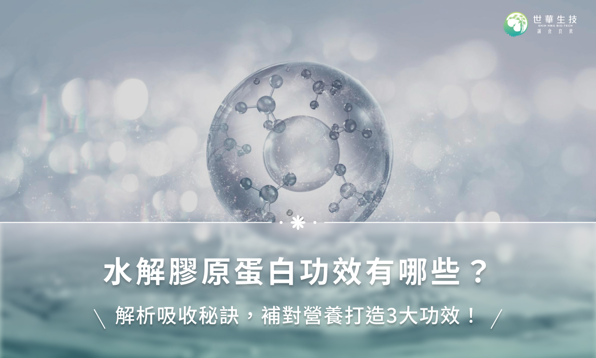 水解膠原蛋白功效有哪些？解析吸收秘訣，補對營養打造3大功效！