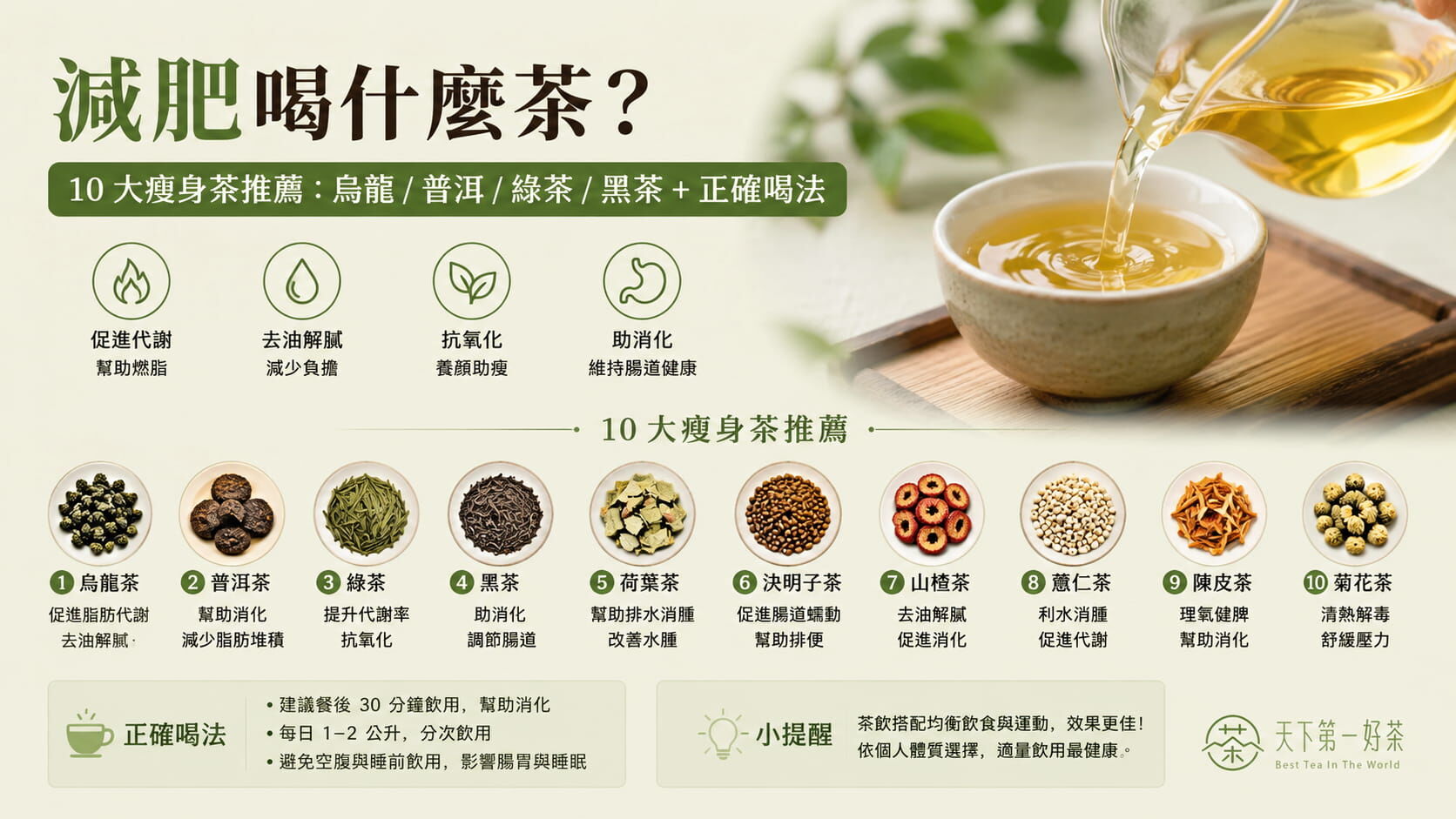 減肥喝什麼茶？10 大瘦身茶推薦：烏龍/普洱/綠茶/黑茶 + 正確喝法