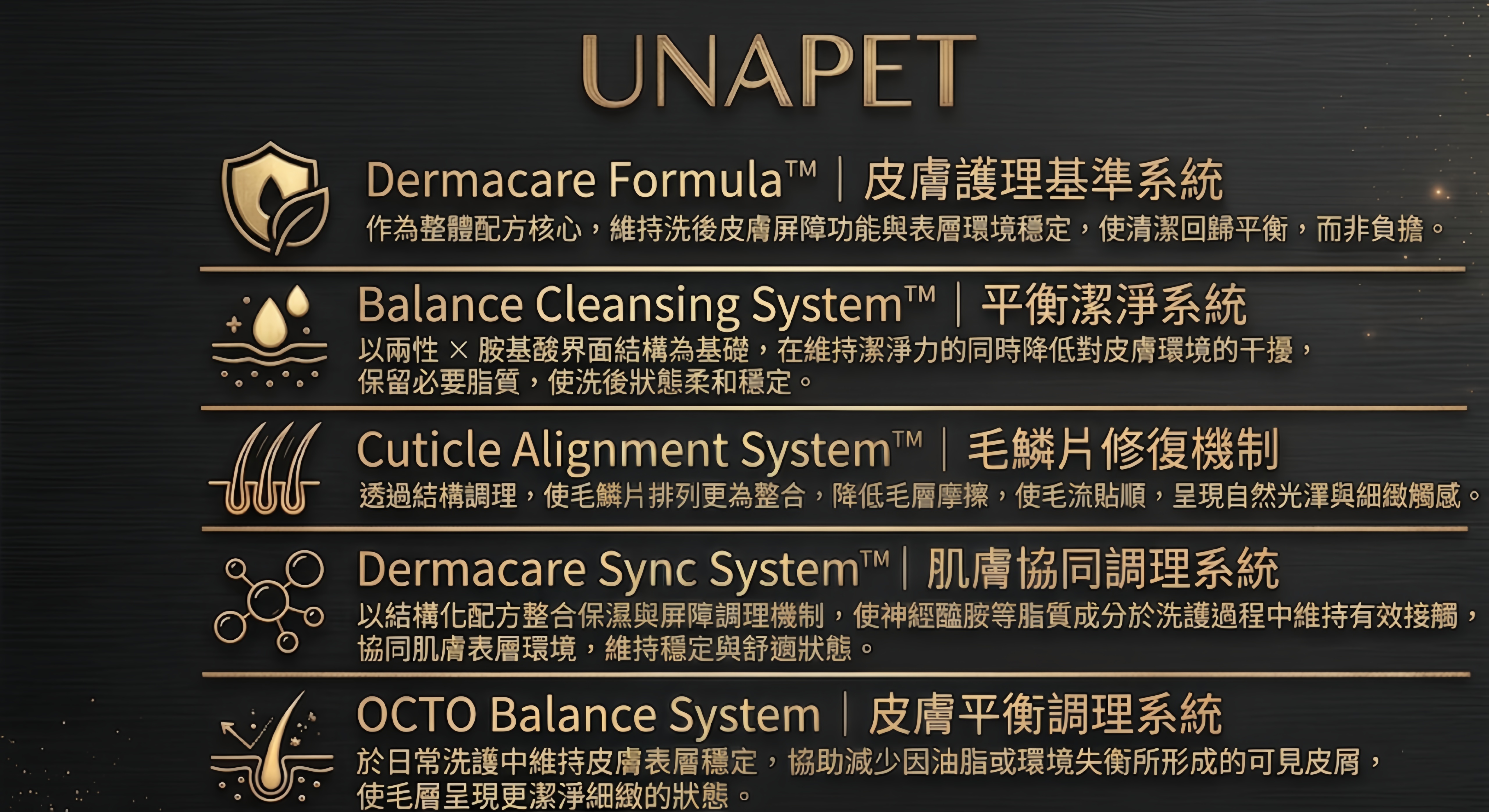 UNAPET系統結構圖