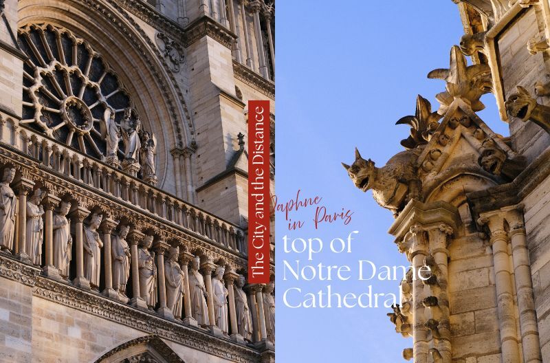 巴黎聖母院,Notre-Dame de Paris,巴黎聖母院攻略,巴黎聖母院預約,巴黎聖母院登頂,巴黎景點推薦,巴黎自由行,巴黎哥德式建築,巴黎教堂推薦,巴黎旅遊攻略,巴黎必去景點,聖母院火災,聖母院玫瑰窗,聖母院石像鬼,巴黎聖母院交通,巴黎聖母院門票,巴黎鐘樓怪人,巴黎歷史景點01
