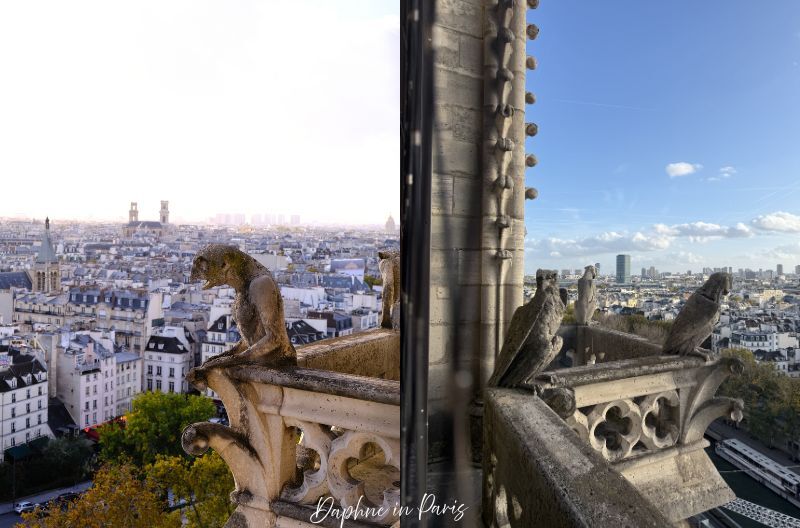 巴黎聖母院,Notre-Dame de Paris,巴黎聖母院攻略,巴黎聖母院預約,巴黎聖母院登頂,巴黎景點推薦,巴黎自由行,巴黎哥德式建築,巴黎教堂推薦,巴黎旅遊攻略,巴黎必去景點,聖母院火災,聖母院玫瑰窗,聖母院石像鬼,巴黎聖母院交通,巴黎聖母院門票,巴黎鐘樓怪人,巴黎歷史景點08