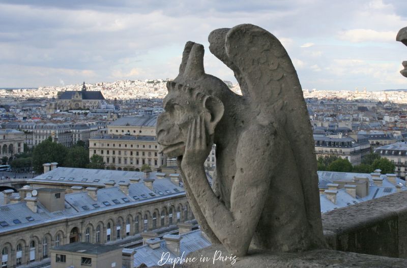 巴黎聖母院,Notre-Dame de Paris,巴黎聖母院攻略,巴黎聖母院預約,巴黎聖母院登頂,巴黎景點推薦,巴黎自由行,巴黎哥德式建築,巴黎教堂推薦,巴黎旅遊攻略,巴黎必去景點,聖母院火災,聖母院玫瑰窗,聖母院石像鬼,巴黎聖母院交通,巴黎聖母院門票,巴黎鐘樓怪人,巴黎歷史景點09