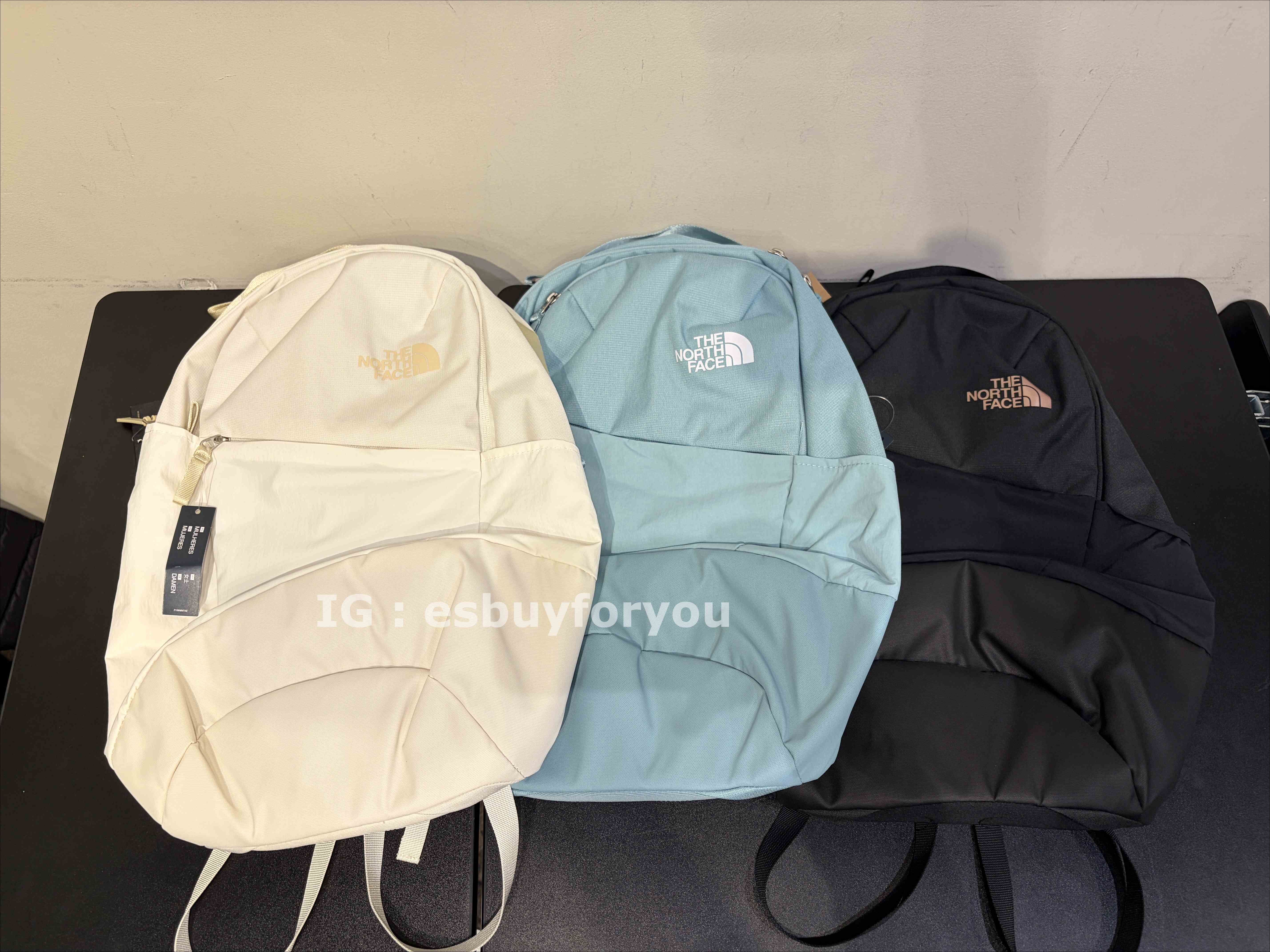 THE NORTH FACE 女款 Isabella 20L 多功能後背包 專為女性設計背負系統/極簡雙層 (3色)
