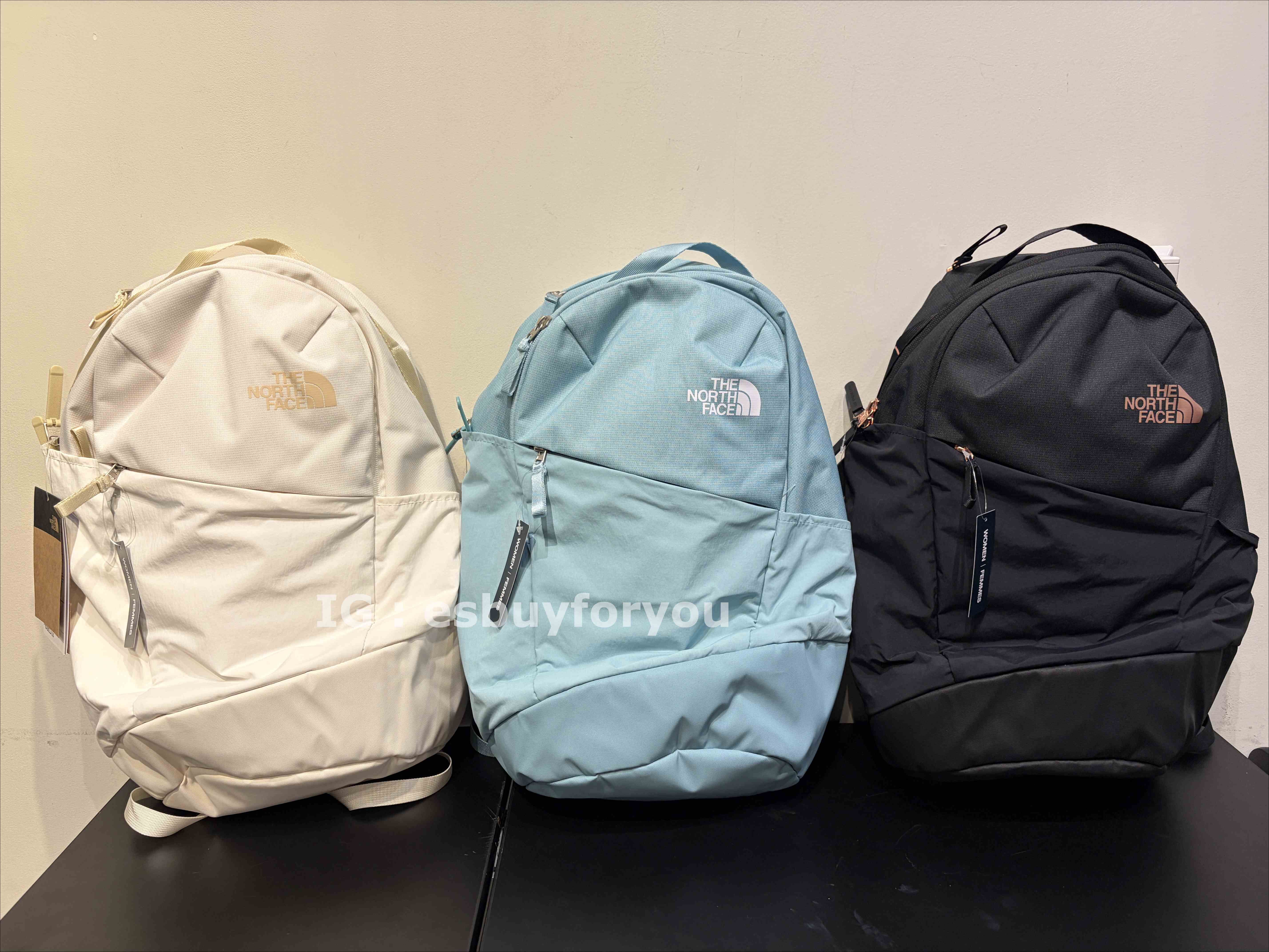 THE NORTH FACE 女款 Isabella 20L 多功能後背包 專為女性設計背負系統/極簡雙層 (3色)