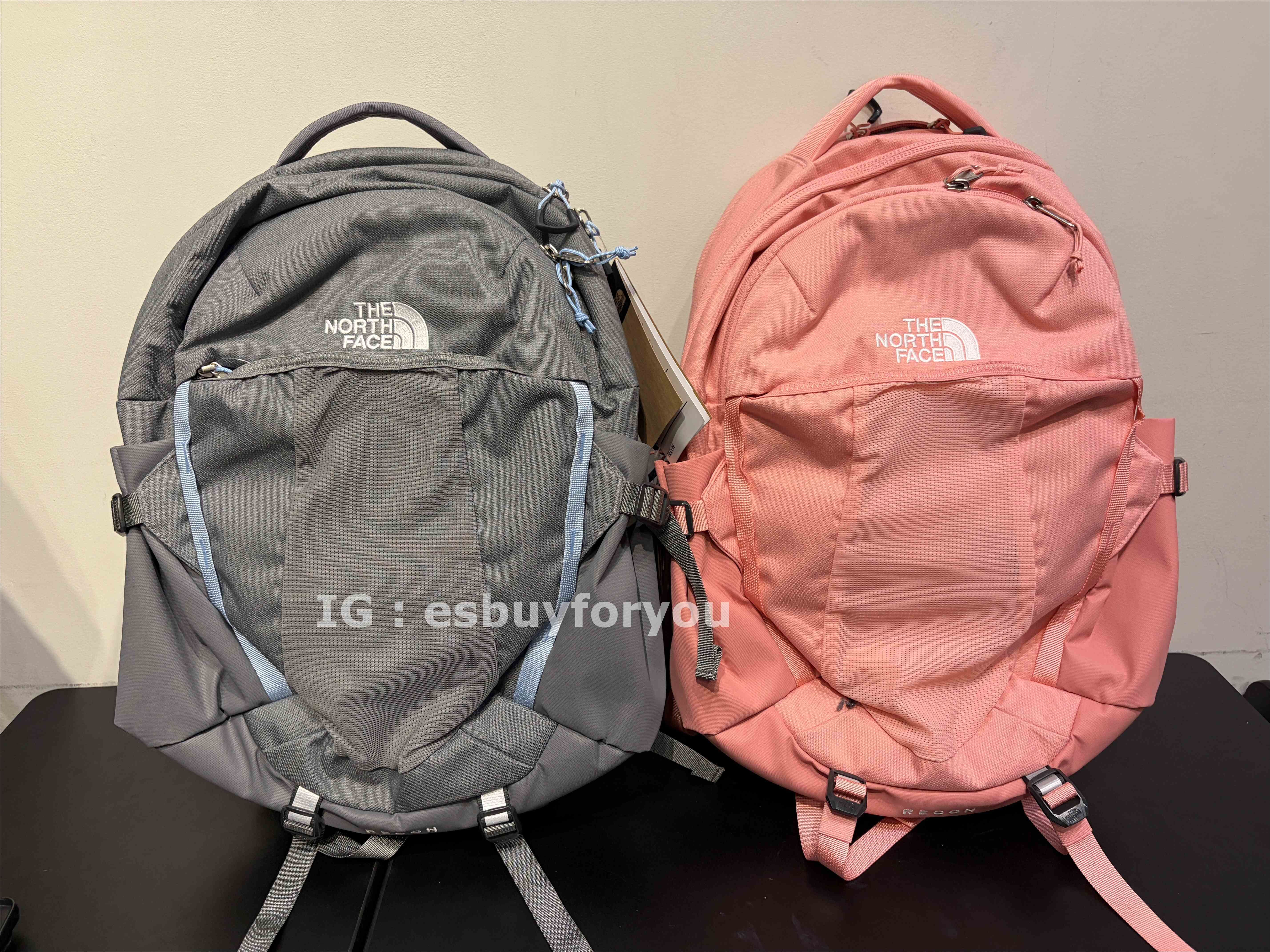 THE NORTH FACE  RECON 30L 旗艦級多功能後背包 高質感電繡LOGO/FlexVent 紓壓背帶 (2色)