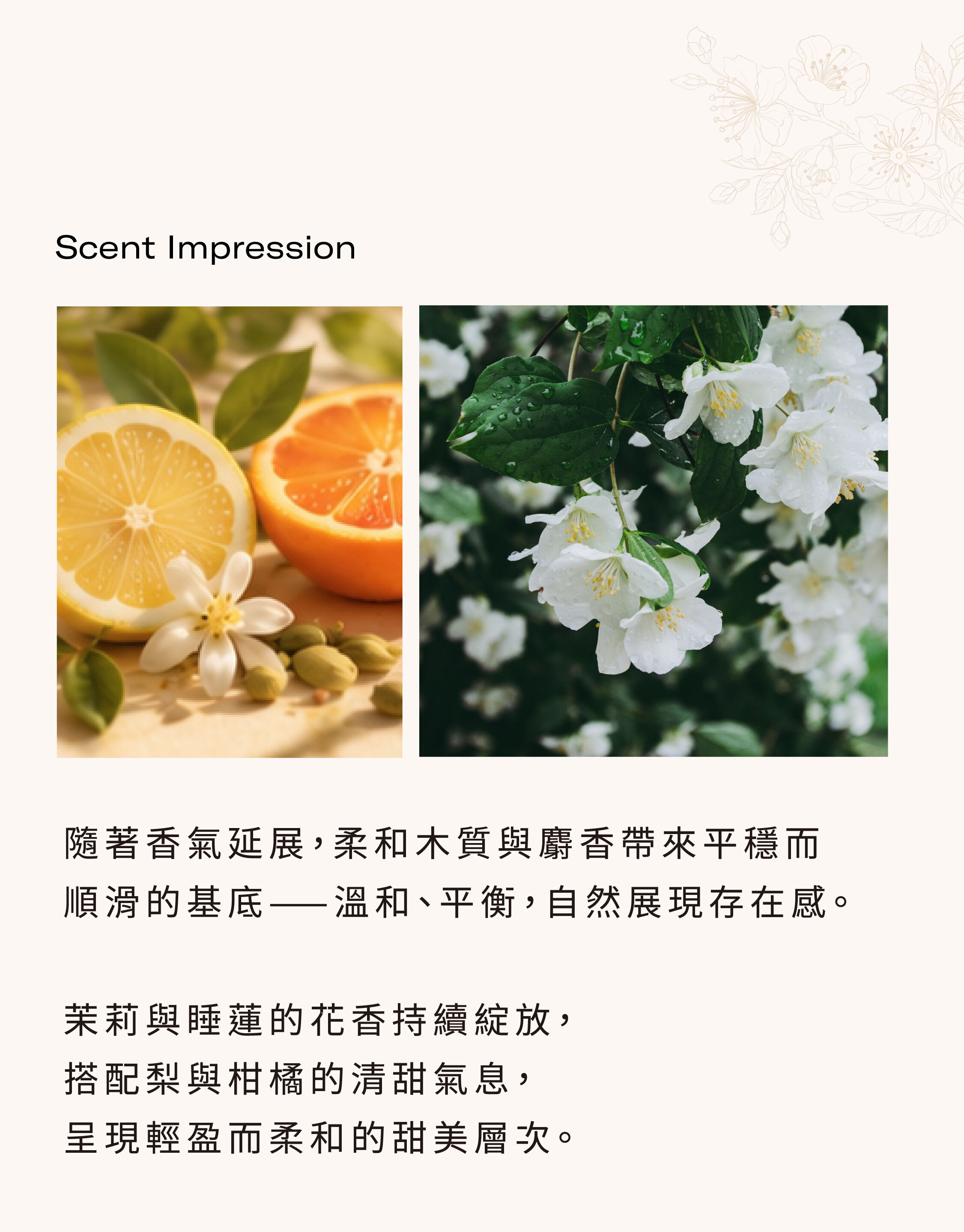 香調筆記