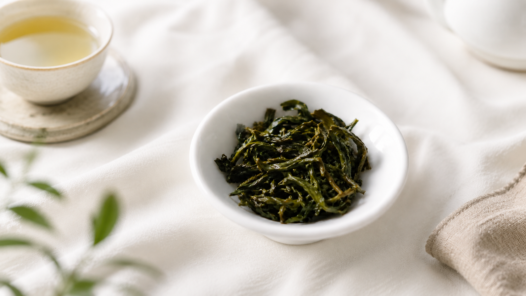 文山包種茶葉細節