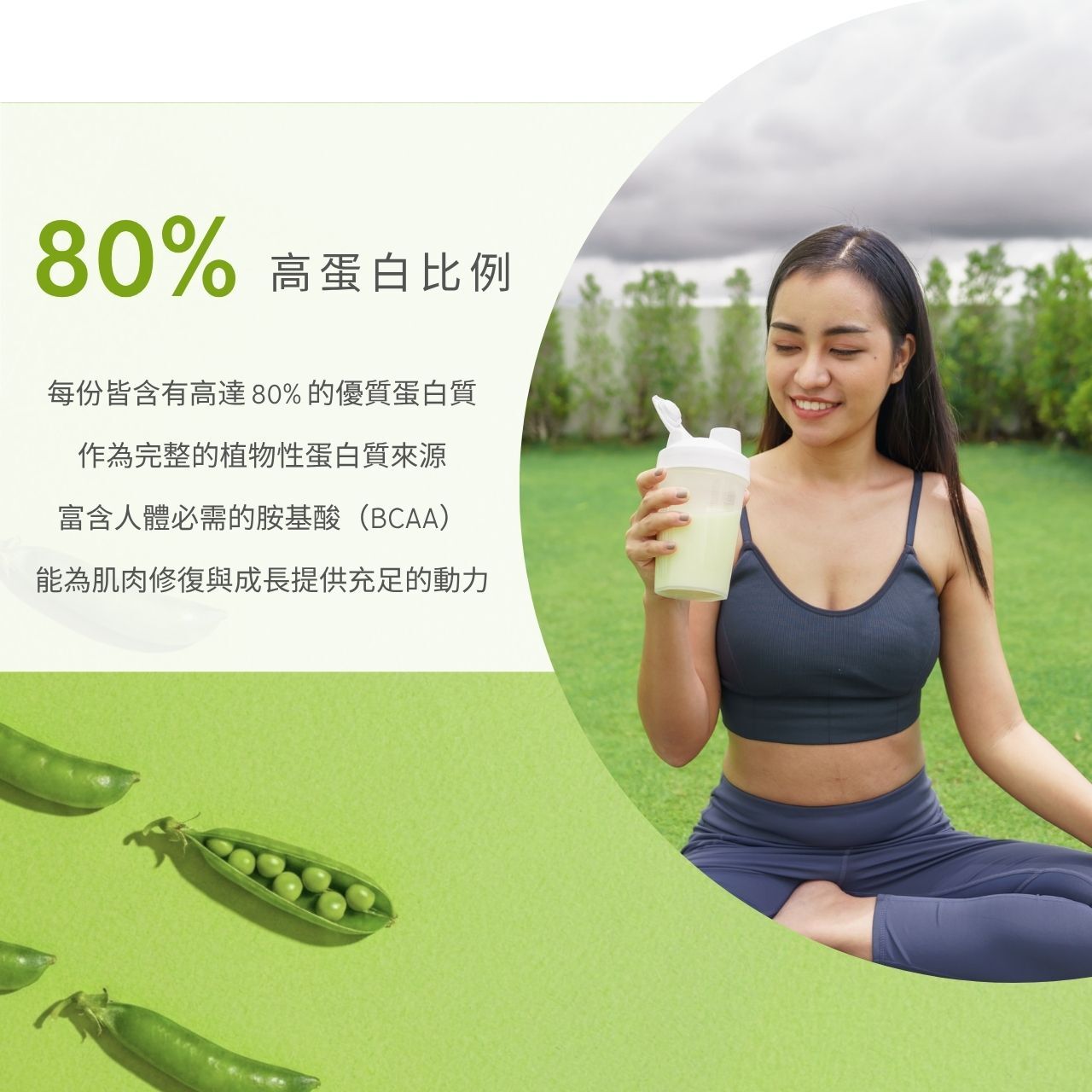 豌豆分離蛋白粉