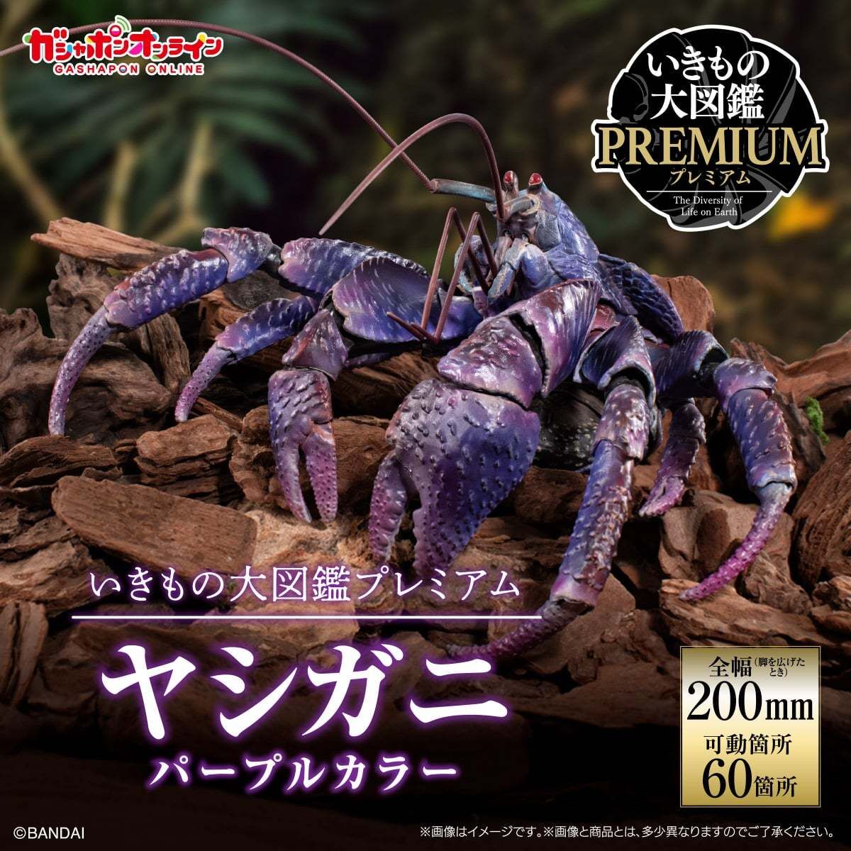 [魂SHOP限定] 生物大圖鑑 椰子蟹 (紫色)