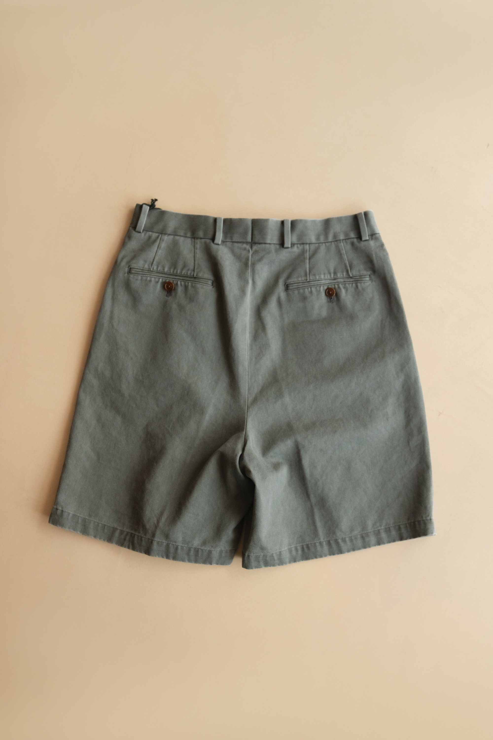 NEAT CHINO SHORTS (2COL)