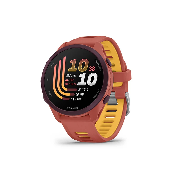 GARMIN Forerunner 170 Music