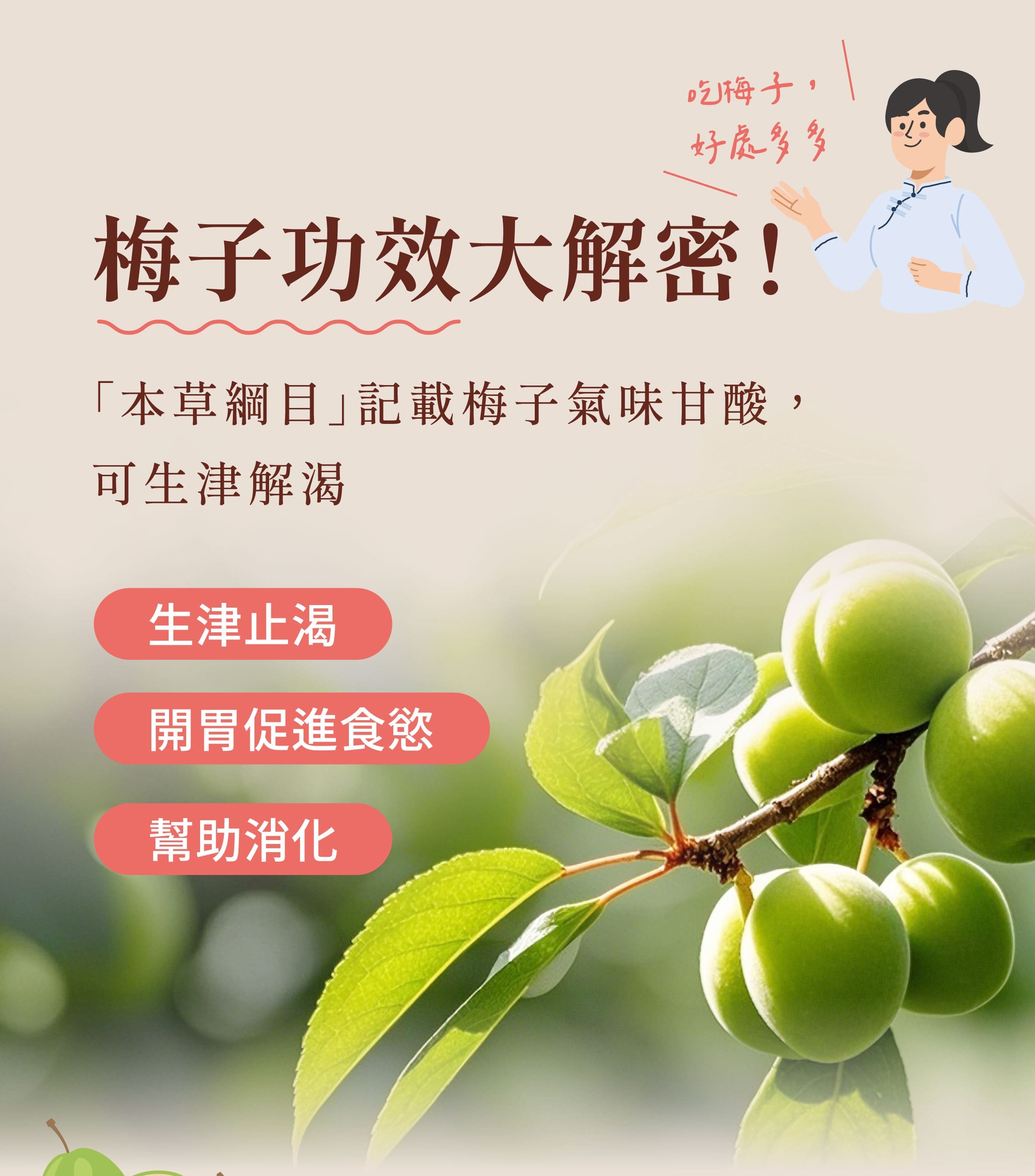 登義Q茶梅子原料青梅的功效