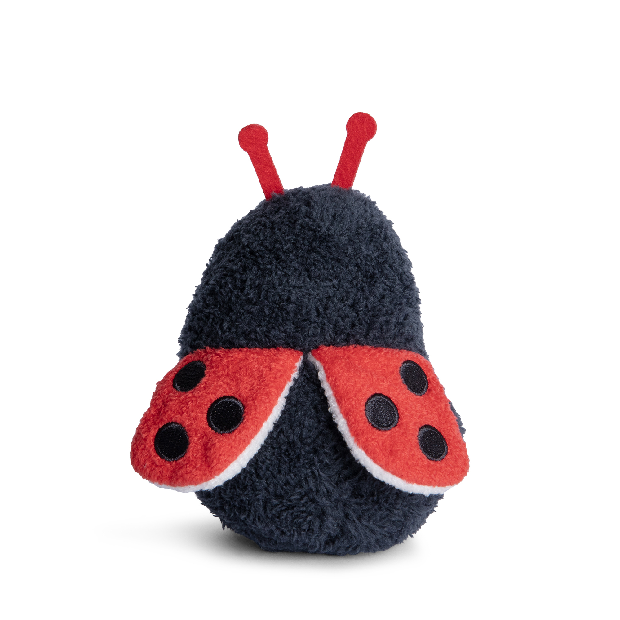 Beetle Ricespud 瓢蟲馬鈴薯