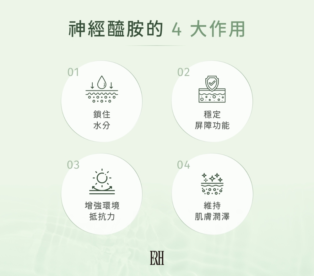 神經醯胺的 4 大作用