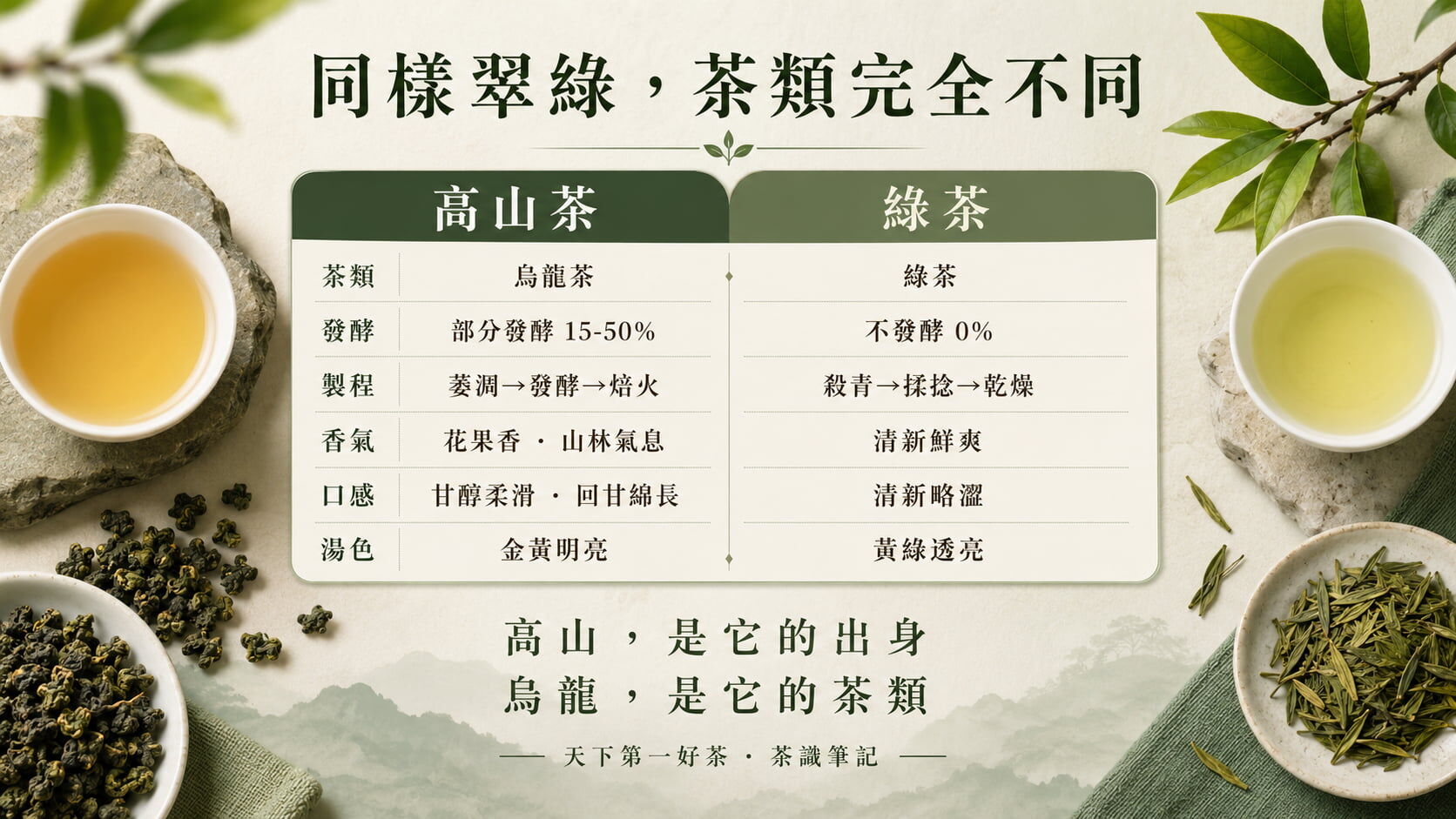 高山茶與綠茶六大差異對照圖，茶類、發酵程度、製程、香氣、口感、湯色的比較