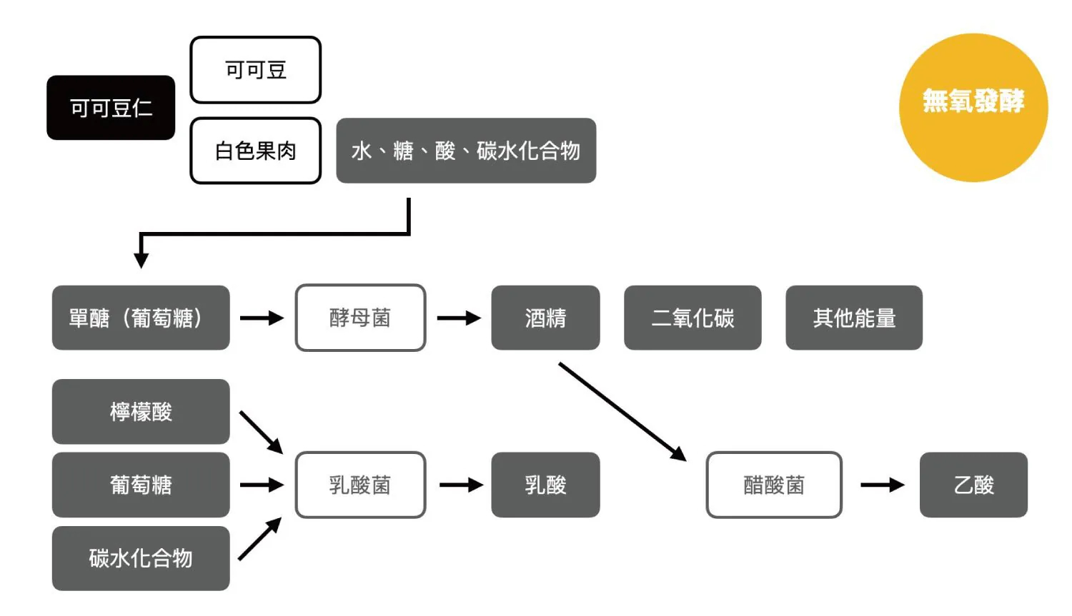 可可發酵製程圖