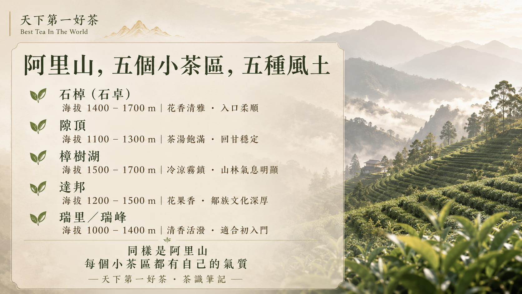 阿里山五大茶區風味地圖，石棹、隙頂、樟樹湖、達邦、瑞里瑞峰的海拔範圍與風味特色對照