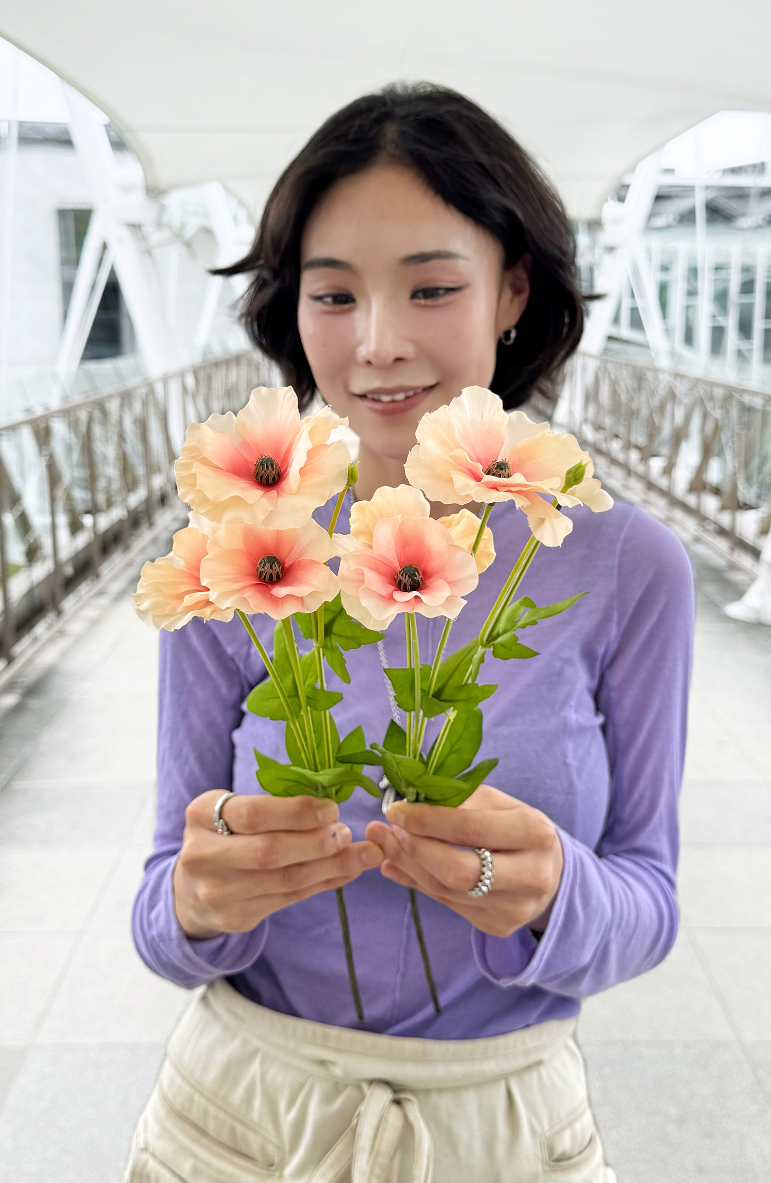 擬真蝴蝶洋牡丹
