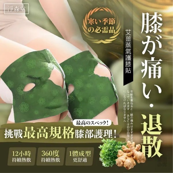S21672 淨森堂艾草薑黃蒸氣護膝貼 (1盒6入)