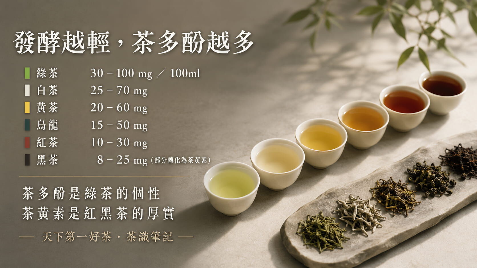 六大茶類茶多酚含量對照光譜圖，綠茶最高至黑茶最低的每100毫升毫克數值比較
