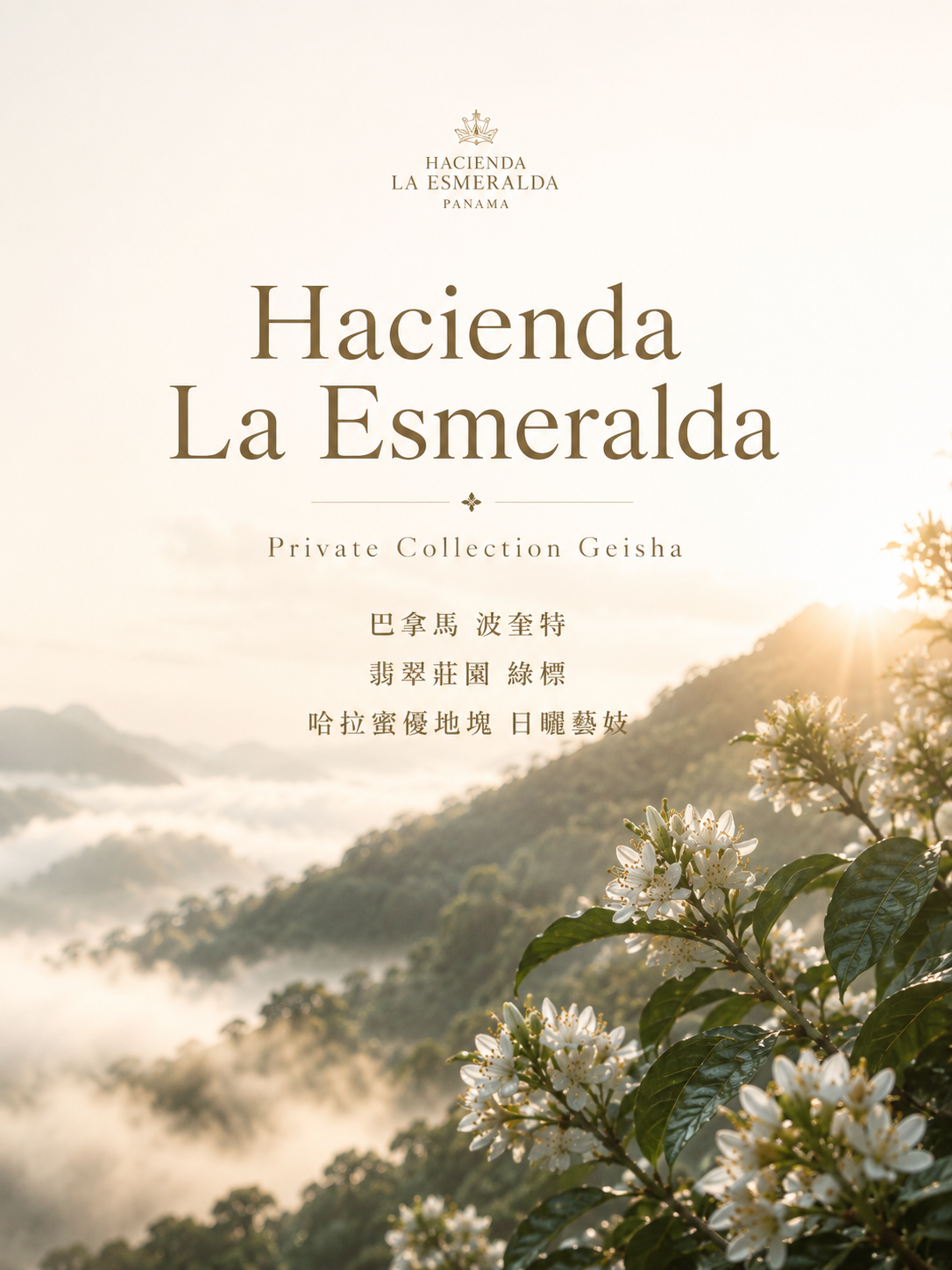 巴拿馬 波奎特 翡翠莊園 綠標 艾威羅地塊 日曬 藝妓 #1｜咖啡豆 100g