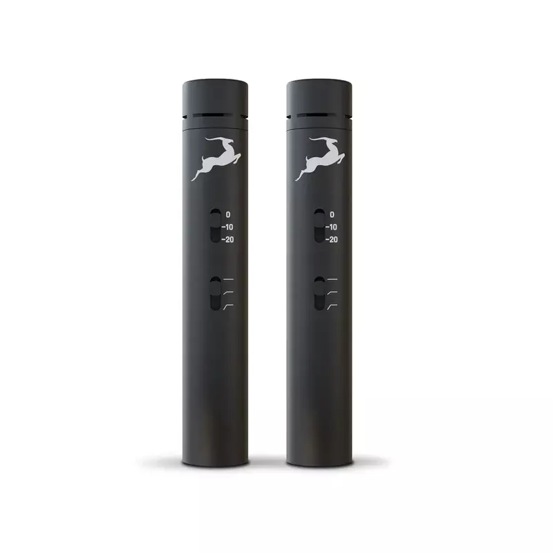 Antelope Edge Note Bundle