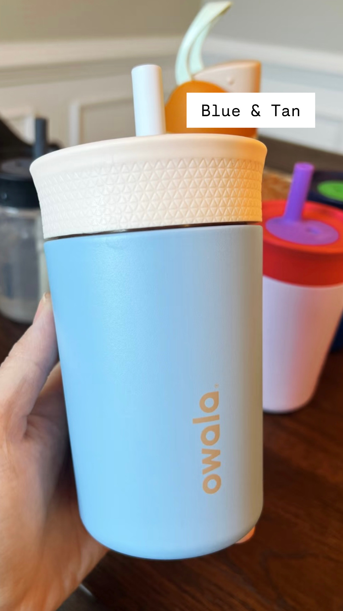 Owala兒童不鏽鋼水樽 (15oz)